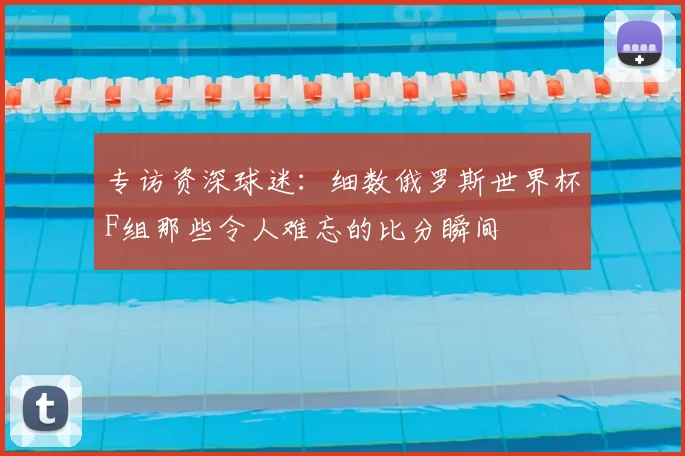 专访资深球迷：细数俄罗斯世界杯F组那些令人难忘的比分瞬间