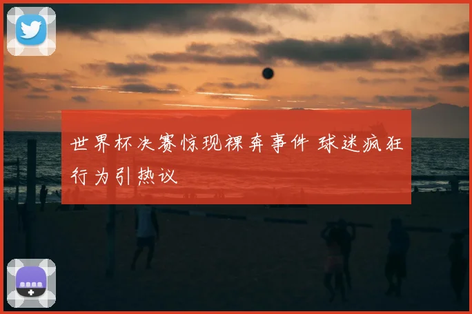 世界杯决赛惊现裸奔事件 球迷疯狂行为引热议