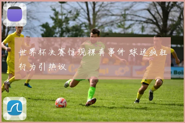 世界杯决赛惊现裸奔事件 球迷疯狂行为引热议