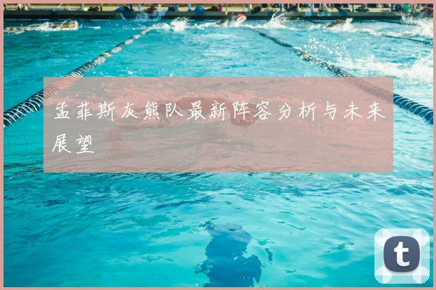 孟菲斯灰熊队最新阵容分析与未来展望