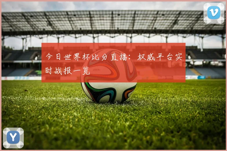 今日世界杯比分直播：权威平台实时战报一览