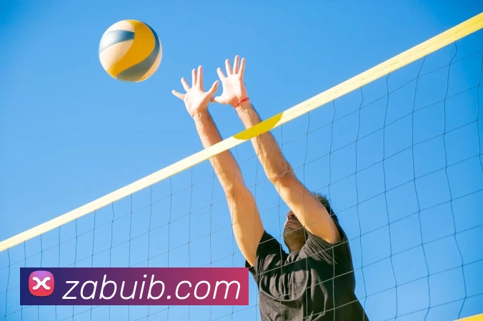 多媒体互动体验